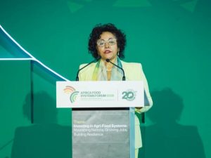 L’Afrique doit lever les barrières commerciales pour transformer ses corridors alimentaires en moteurs de compétitivité